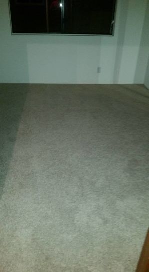 Carpet Cleaning in Cerritos, CA (2)